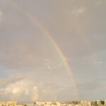 hoarding, decluttering,