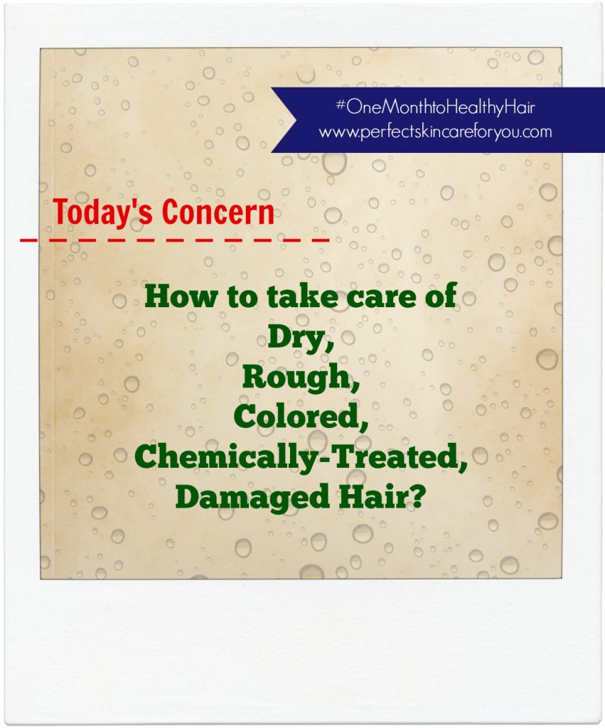take care of dry, rough, colored, chemically treated, frizzy and damaged hair